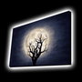 Wallity Lienzo Decorativo Iluminado con Led Multicolor 45 x 70 cm